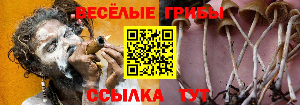 Галлюциногенные грибы ЛСД Черняховск