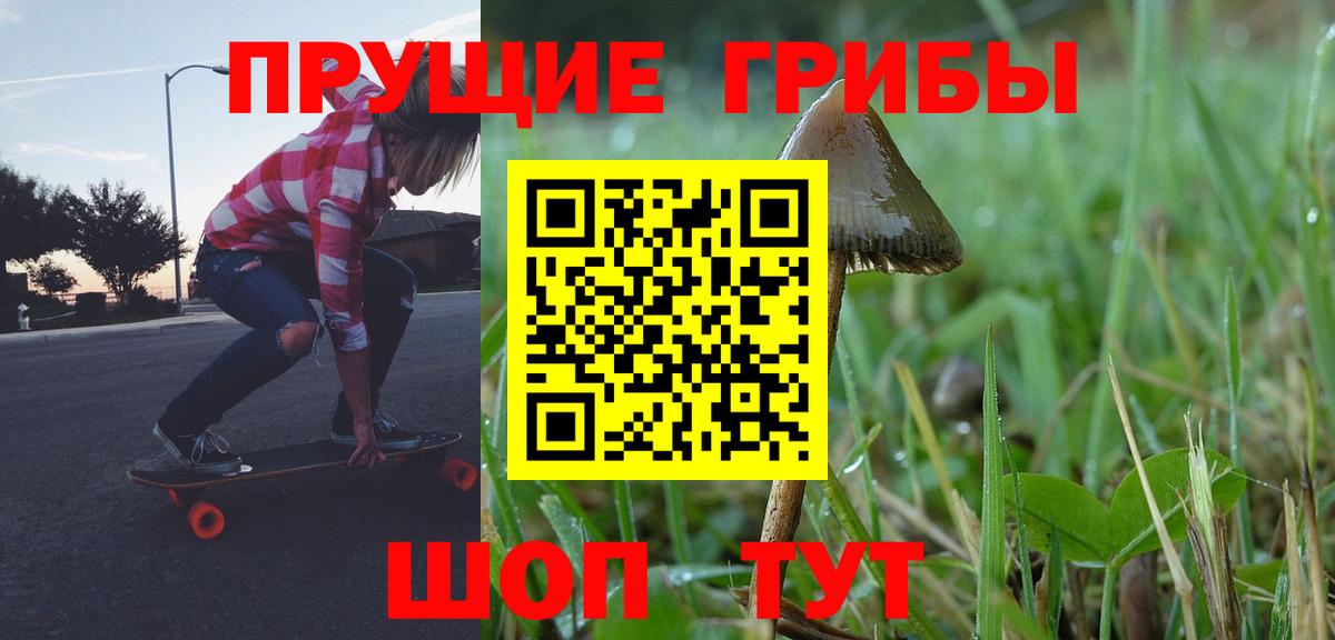 Черняховск  Галлюциногенные грибы MAGIC MUSHROOMS  цена   Галлюциногенные грибы Psilocybe  Вход с VPN 